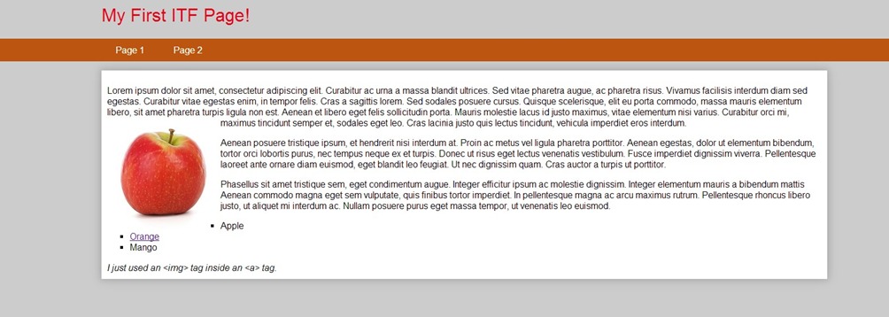 Example output from the project highlighting HTML page structure and basic CSS styling